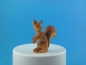 Preview: Eichhörnchen
