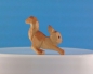 Preview: Eichhörnchen