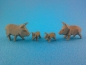 Preview: Widschweine