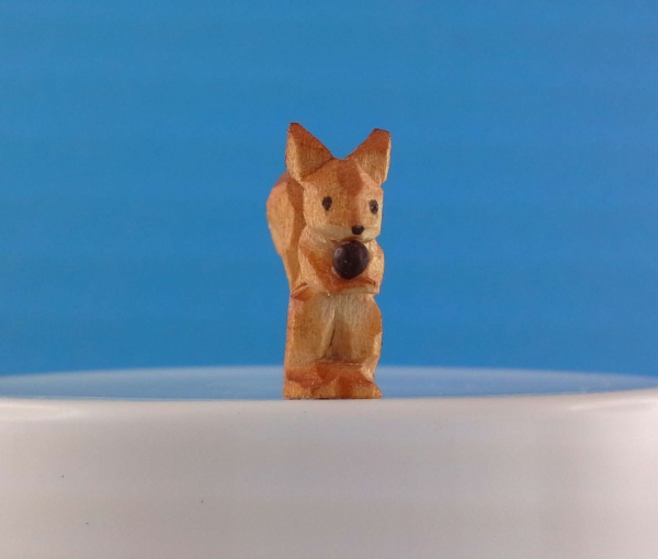 Eichhörnchen